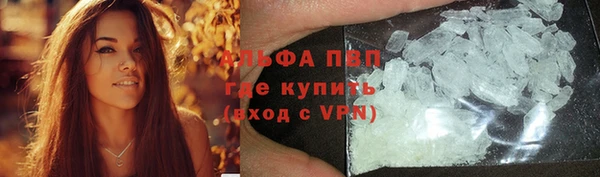 шишки Инта