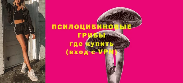 ПСИЛОЦИБИНОВЫЕ ГРИБЫ Каменка