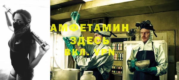 ПСИЛОЦИБИНОВЫЕ ГРИБЫ Каменка